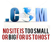 no site is too small or big for us to host